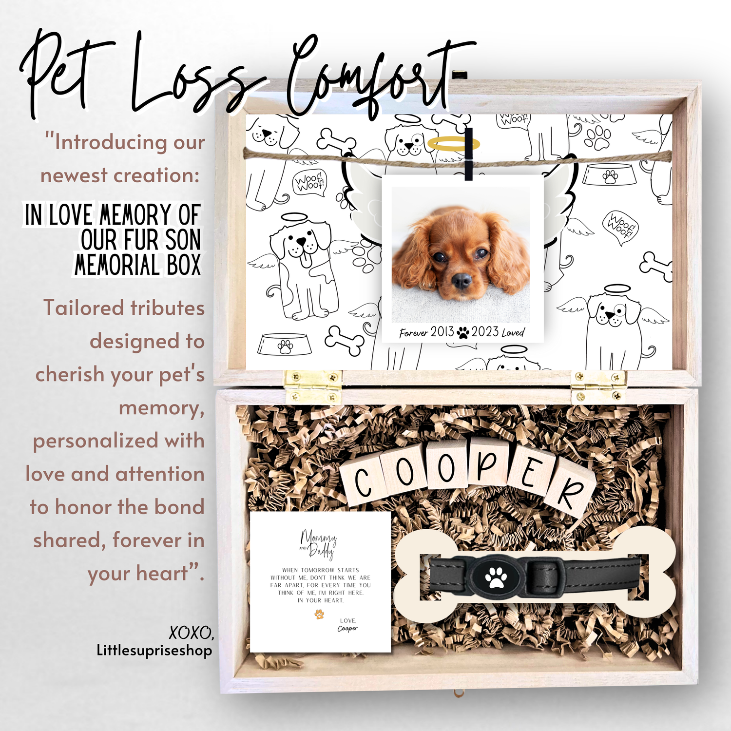 Pet Loss Comfort