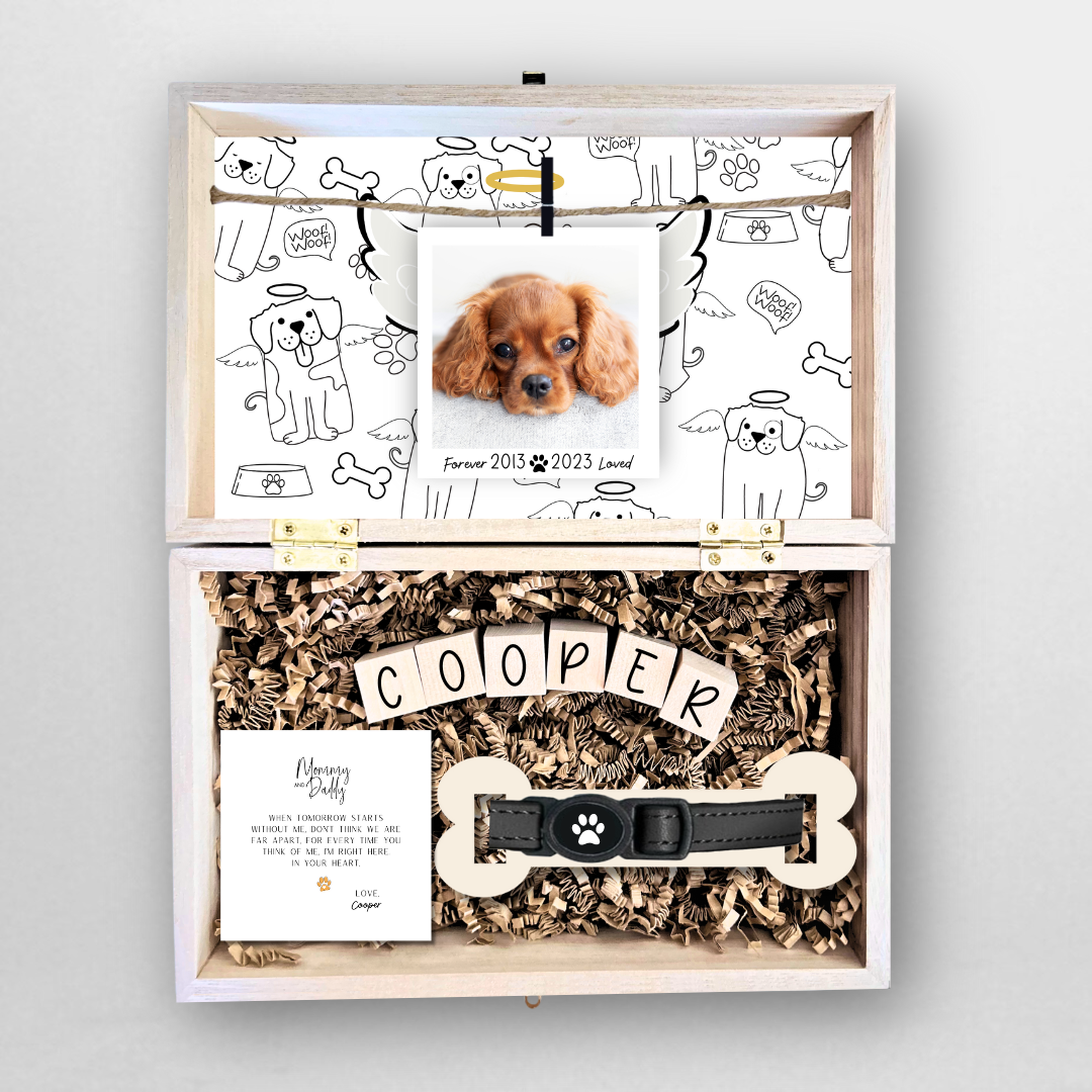 Pet Memorial Engraved Wood Gift Box, Keepsake Personalized with Cat Dog Collar Display, Loss  Sympathy Gift, Pet  Announcement Gift Pet fish bone
